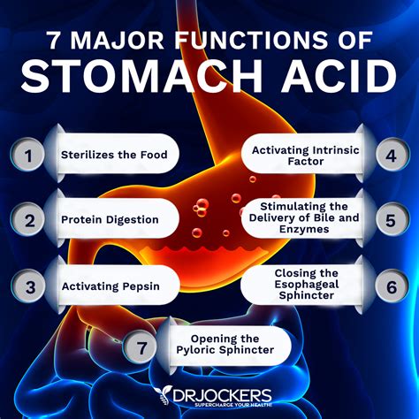 Hypochlorhydria is a deficiency of stomach acid. . How long does it take for stomach acid to return to normal after stopping ppi